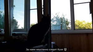 DIY | Домик для стрижей 🐦 своими руками