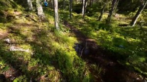 Беговой влог. Риеккалансаари трейл 2023. 35км. Мой пока самый красивый трейловый забег!