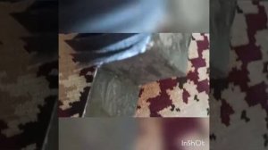 ЧАЭС из картона