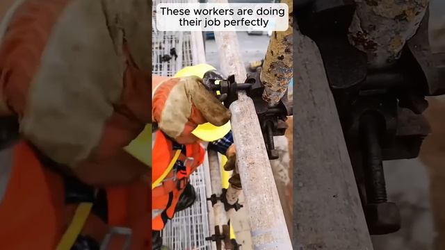 These workers are doing their job perfectly #adamrose #construction #workers