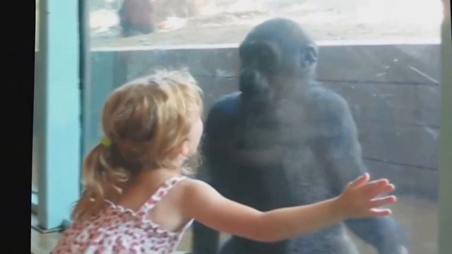 Девочка и обезьяна смотреть онлайн