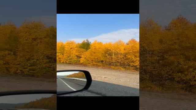 Часть осеннего перегона из Владивостока