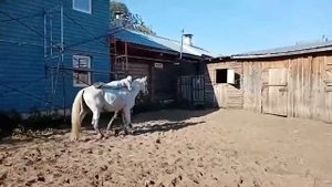 Выходные в КБ Баглачево