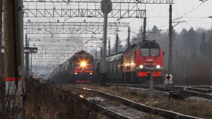 Поезда на перегоне Благовещенское - Шаховская Московской железной дороги. Декабрь 2019 года