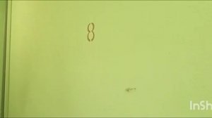 Этажный слайд ( Санкт Петербург, Богатырский проспект 30к1), Лифты МЛМ (Невский лифт) 2024 г.в.