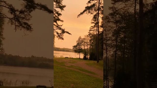 Осень в Антропково