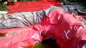 2013-08-15 Ужик изловил и пожрал лягушку