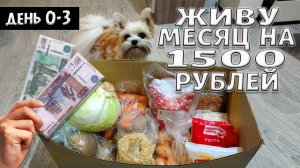 Выживаю месяц на 1500 рублей. Осень 2024 год. День 0-3.