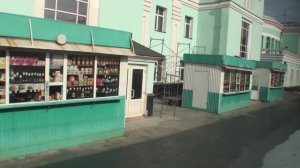 От Омска до Новосибирска вид из окна поезда