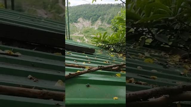 участок в Сочи за 4 миллиона смотреть онлайн