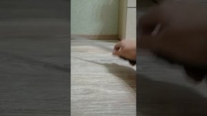Штатив-монопод Z6/обзор