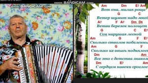 Вот она, милая роща на гармони