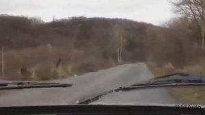 тест драйв тюнинг Ваз 2105 ротор