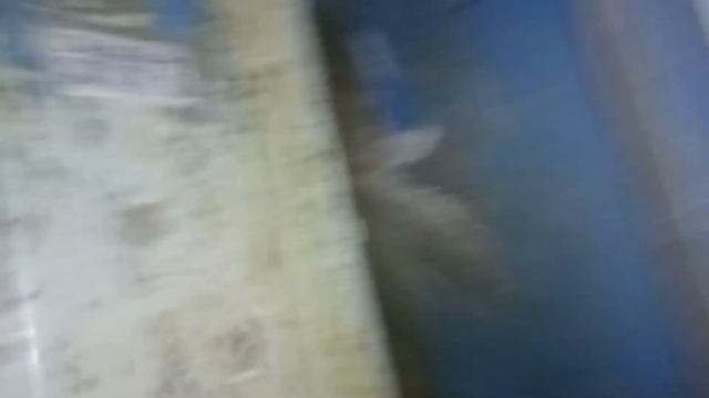 7 апреля 2017 г. смотреть онлайн