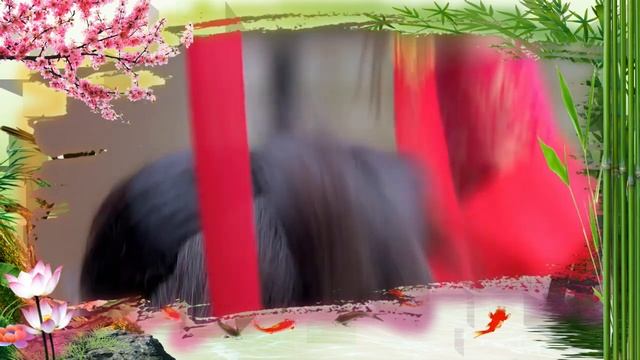 神雕俠侶小龍女陳妍希、劉亦菲、李若彤（Michelle Chen，Crystal Liu，Carman Lee）。。歌曲：半壺紗（演唱：劉珂矣）