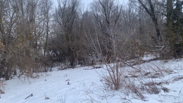 Сапоги или бурки? Зимой за малиной! Новогодний сюрприз! смотреть онлайн