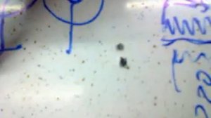 электрогидроудар или как спасти диоды