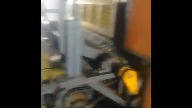 Оборудование для производства тары для яиц