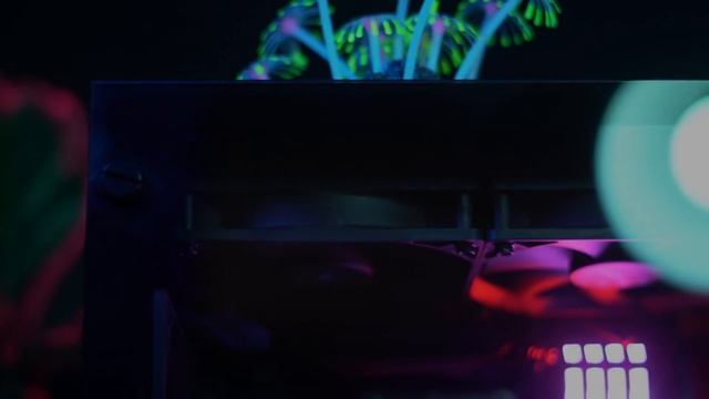 Limited Edition Tetra: Light the Way смотреть онлайн