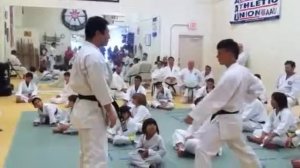 Sensei Fumio Demura MOV