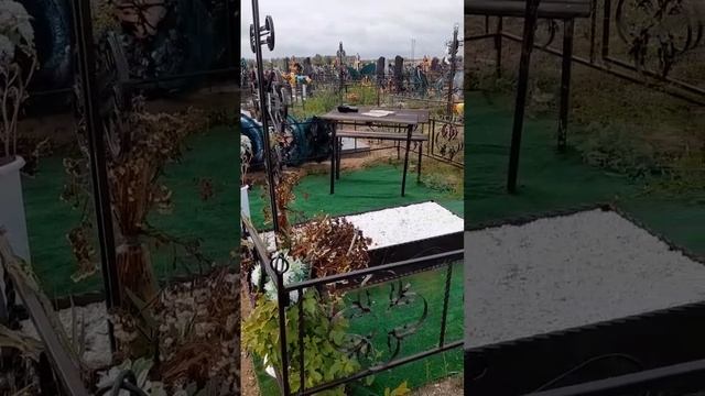 Там кто-то читает книги???