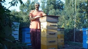 Канал Народный улей Варрэ