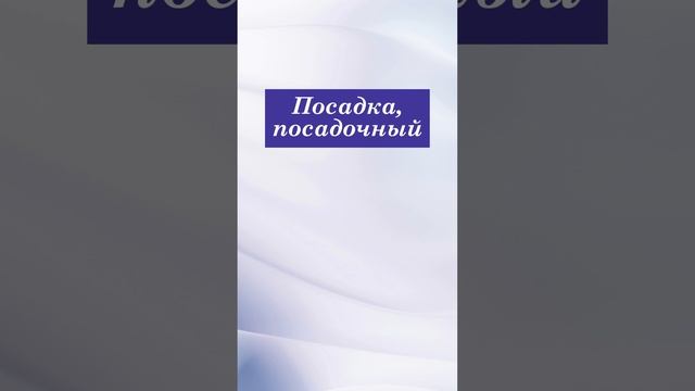 Переводим 5 слов с русского на английский