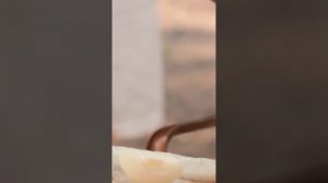 ПЕРВАЯ СЕРИЯ АДСКИЙ ШЕФ