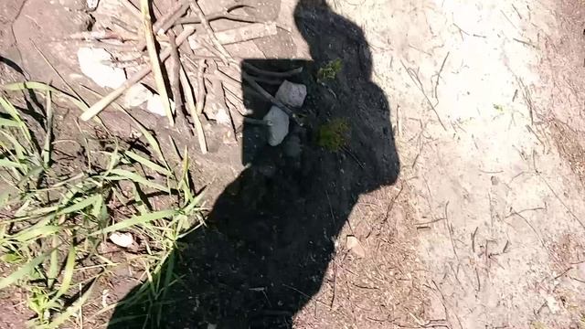 1 видео на улице +костёр