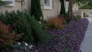 Цветов много не бывает  100 идей как устроить клумбу