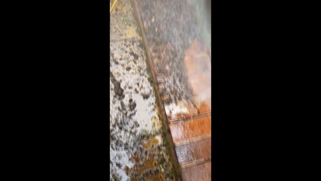 INGENIOUS & Oddly Satisfying Pressure Washing Videos #52 смотреть онлайн