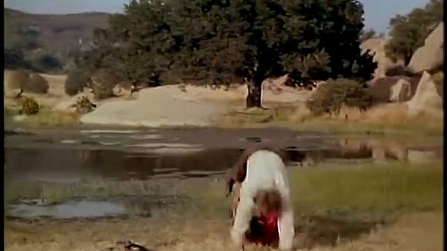 Hoss Cartwright vs. Uncle Gunnar смотреть онлайн