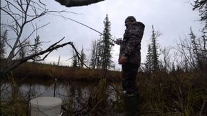 Речка в болоте кишит Мохтиками (ЕЛЕЦ)! Клюет на каждом забросе!! Сибирская рыбалка 2024 г