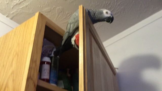 Стучат, откройте дверь. смотреть онлайн