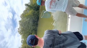 Lake Weiss Alabama Stripper Fishing on a Hot Summers Day in August