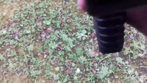 Отстрел БАМ А+А УДАР М2 и ГРОМ из Пионера