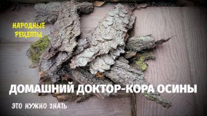 ДОМАШНИЙ ДОКТОР КОРА ОСИНЫ