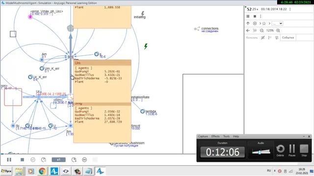 микориза anylogic 3, модель работает для случая патогенных грибов
