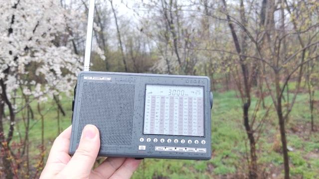 Degen 1103 и весна ! смотреть онлайн