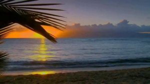 Mark Harper - At Sunset *k-kat jazz café* The Smoothjazz Loft