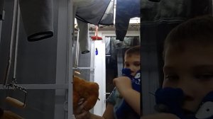 квадробер 1 серия