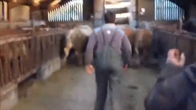 Інтелектуальні технології Сучасне транспортування корів Мегамашини Найбільші вантажоперевезення