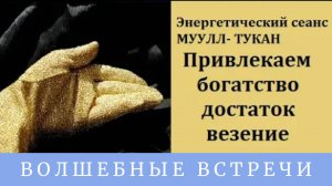 Надежда Ражаловская Энергетический сеанс Как привлечь деньги