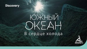 НА ДНЕ ОКЕАНА: ЮЖНЫЙ ОКЕАН "В СЕРДЦЕ ХОЛОДА" | DISCOVERY