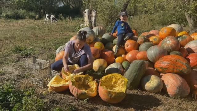 Осеняя пора.