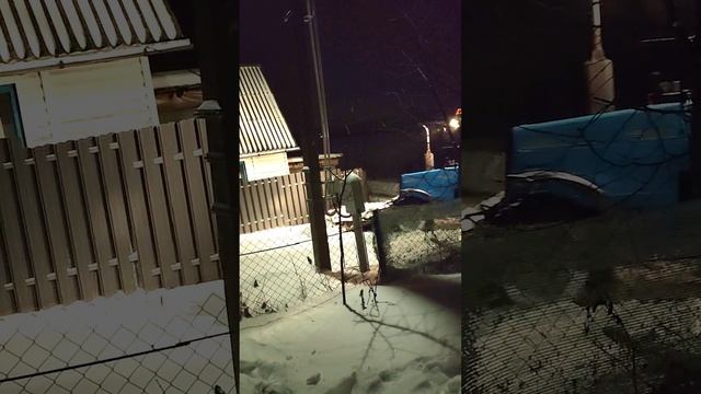 Зоопсихологи зло? Или невежество?
