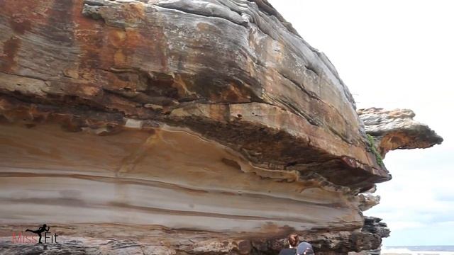 Australia 2017 / Spiders the size of your palm/ Ep 02 смотреть онлайн