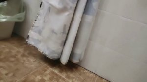 первые пранки Кошка Буся