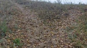 река Ворона. Осенние виды