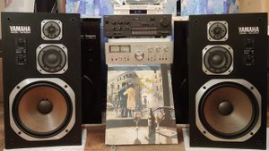 Акустика Yamaha NS-500M новый приход